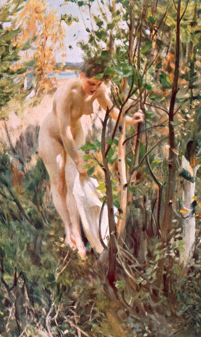 Eva door Anders Leonard Zorn